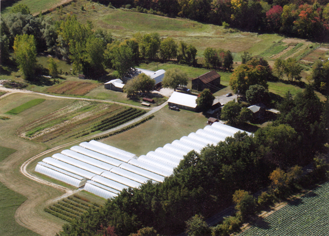 Boston Spring Farms